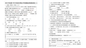 【9页】全国100所名校冲刺小升初语文基础训练测试卷（二）统编版 含答案-壹心居