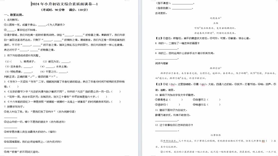 四川省绵阳市绵阳东辰国际学校2024年部编版小升初考试语文试卷（原卷版）