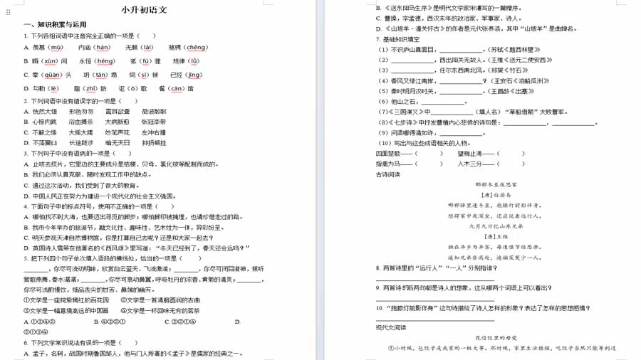 湖南省长沙市一中双语实验学校2024年部编版小升初考试语文试卷（原卷版）