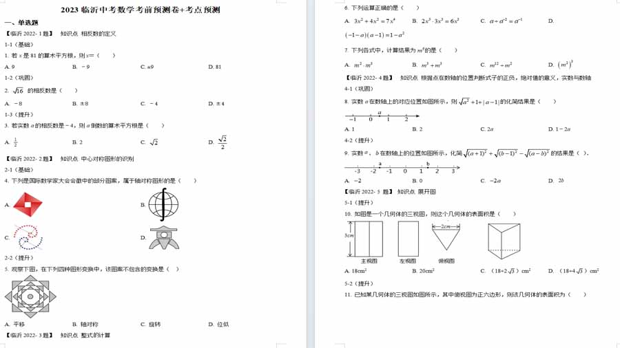 2023年山东省临沂市中考数学考前模拟预测题（原卷版）