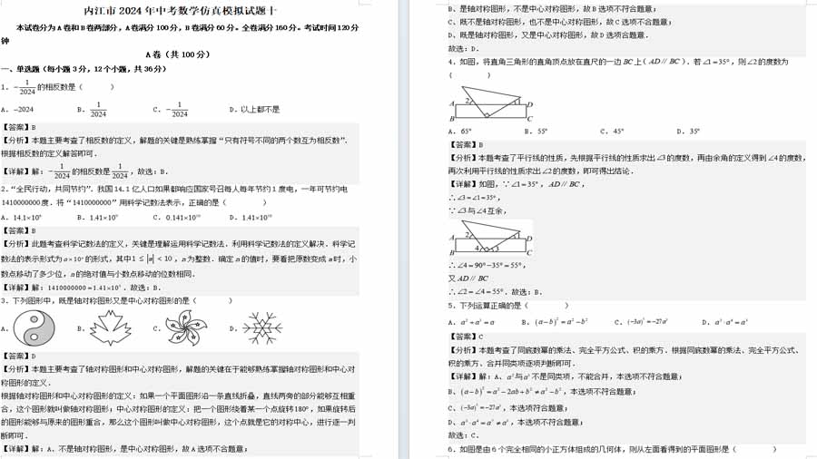 2024年中考数学仿真模拟试题十（解析版）