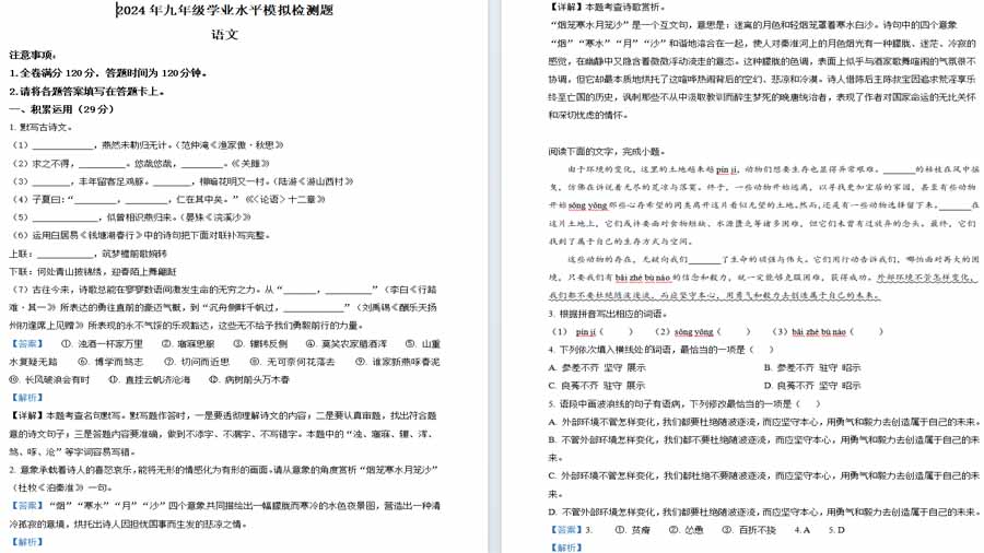 2024年广东省湛江市廉江市中考二模语文试题（解析版）