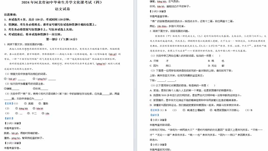 2024年河北省沧州市中考一模语文试题（解析版）14页