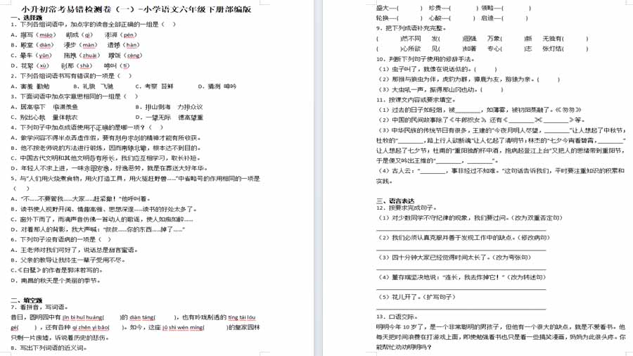 小升初常考易错检测卷（一）2023-2024学年语文六年级下册（统编版） (3)