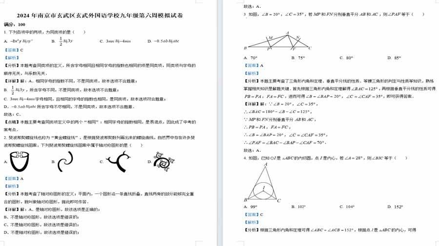 2024年南京市玄武区玄武外国语学校九年级第六周模拟预测题（解析版）