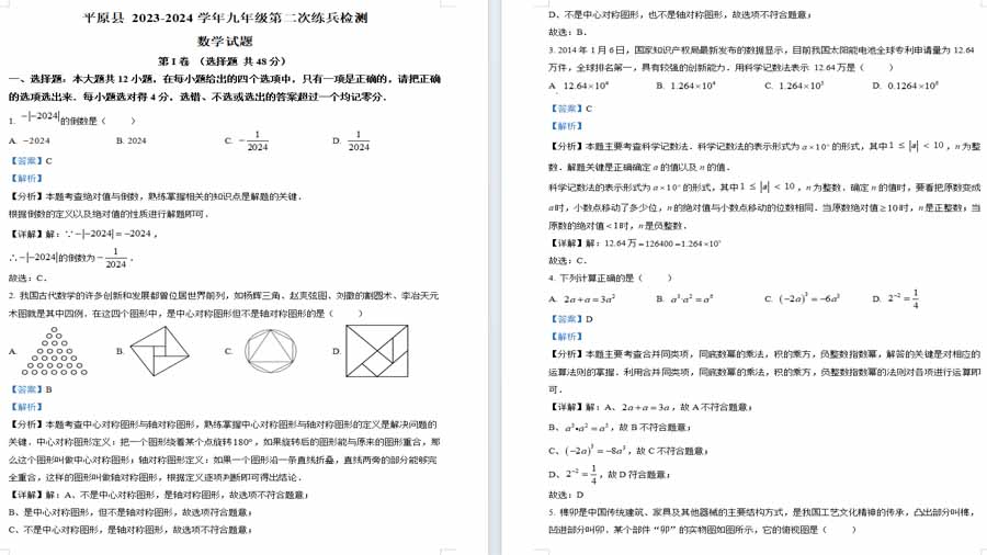 2024年山东省德州市平原县九年级中考第二次练兵考试数学试题（解析版）