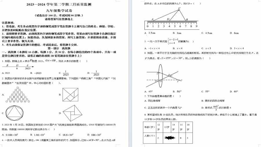 2024年广东省深圳市南山区桃源中学中考模拟数学试题（原卷版）