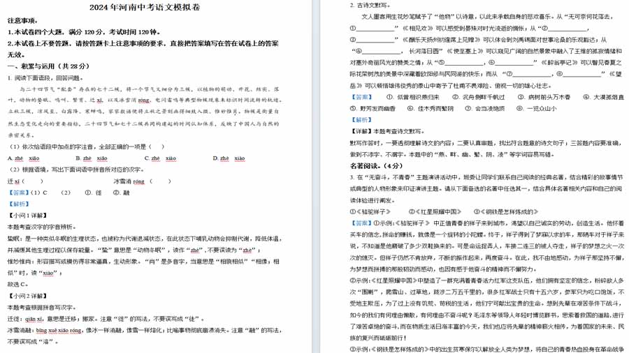 2024年河南省中考语文模拟试题（解析版）