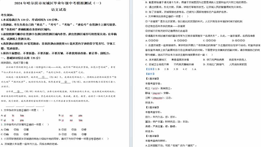 2024年黑龙江省哈尔滨市双城区中考一模语文试题（解析版）