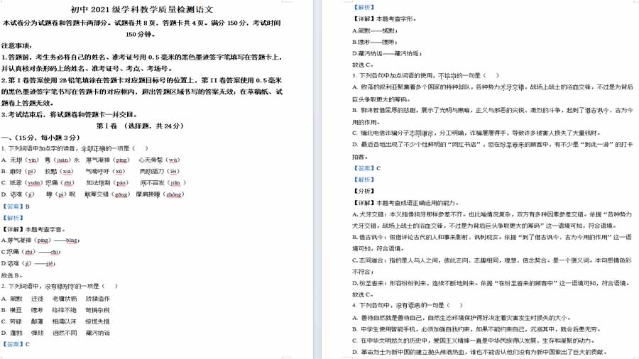 2024年四川省绵阳市江油教研联合体学校中考一模语文试题 （解析版）