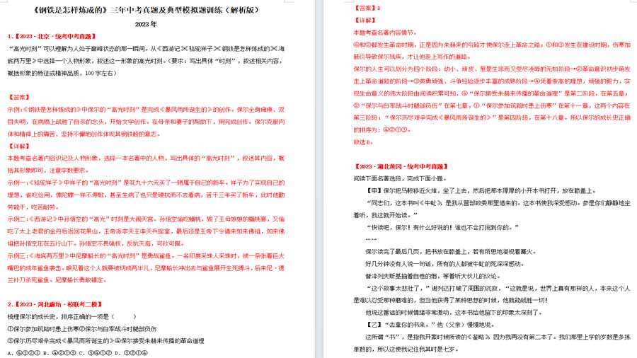 《钢铁是怎样炼成的》三年中考真题及典型模拟题训练（解析版）