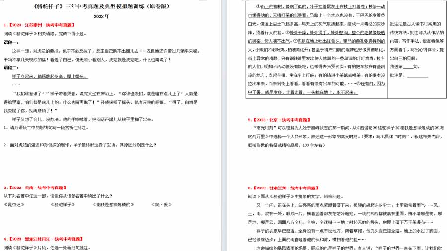 《骆驼祥子》三年中考真题及典型模拟题训练（原卷版）
