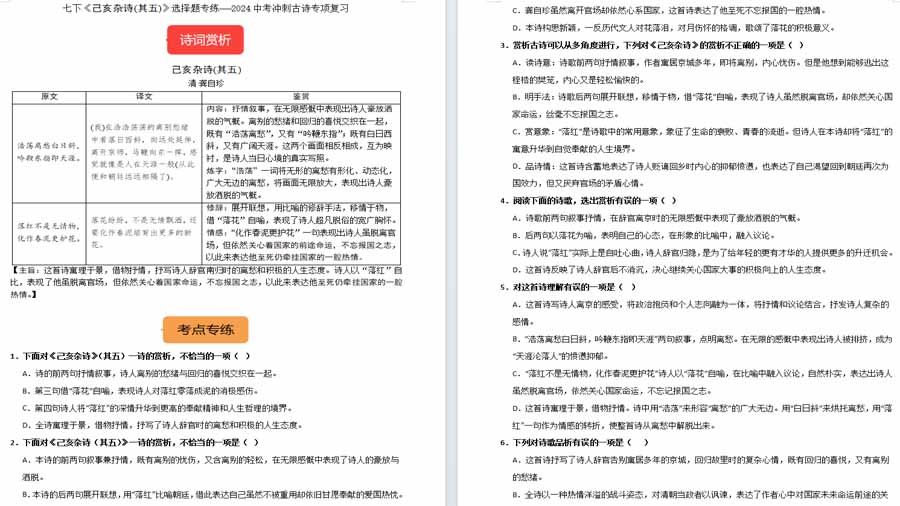 七下《己亥杂诗(其五)》选择题专练-冲刺2024年中考语文（统编版六册）（原卷版）