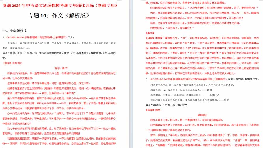 作文（解析版）备战2024年中考语文适应性模考题专项强化训练（新疆专用）