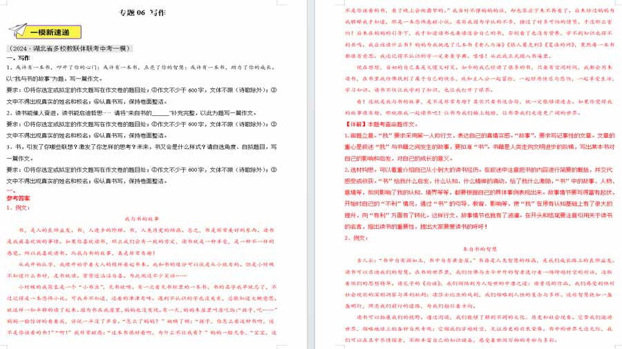 写作-2025年中考语文备考试题（解析版）