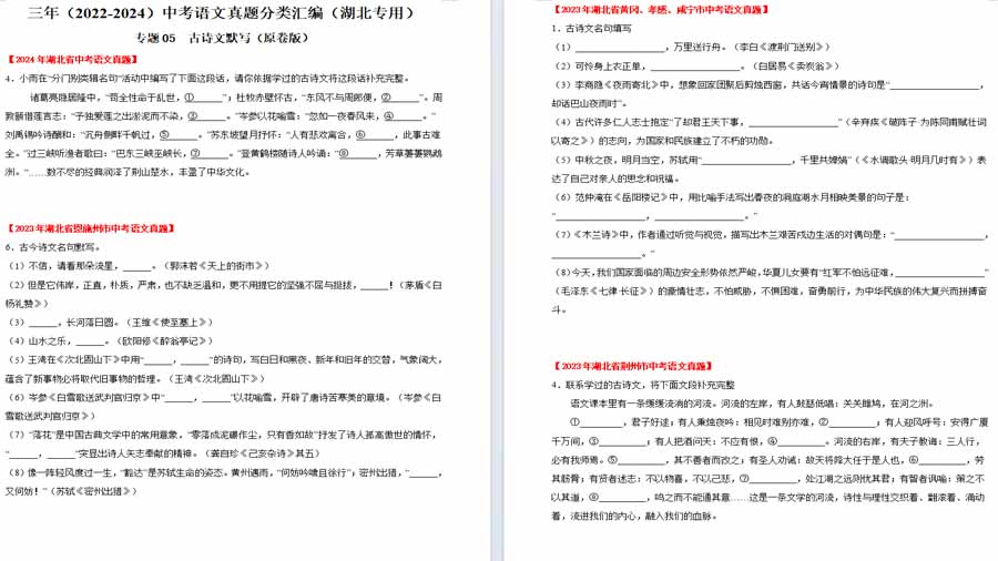 古诗文默写-2025年中考语文备考试题（原卷版）（湖北专用）
