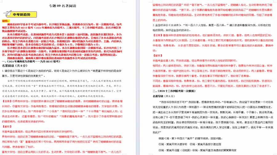 名著阅读-2024年中考语文一模试题分类汇编（湖南专用）（解析版）