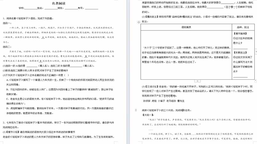 名著阅读-2024年中考语文考前查缺补漏试题（徐州专用）（原卷版）