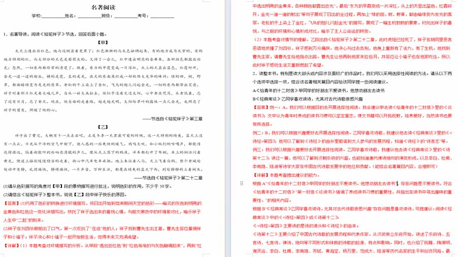 名著阅读-2024年中考语文考前查缺补漏试题（贵州专用）（解析版）