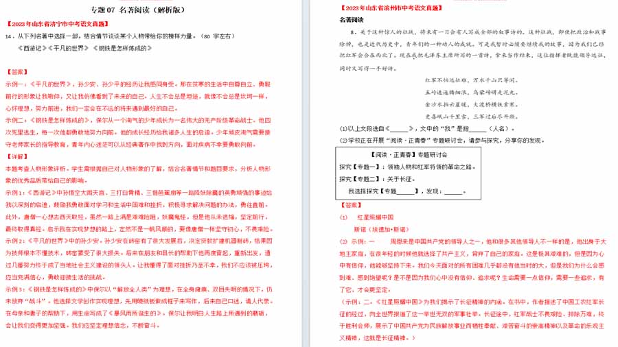 名著阅读-2025年中考语文备考试题集（解析版）