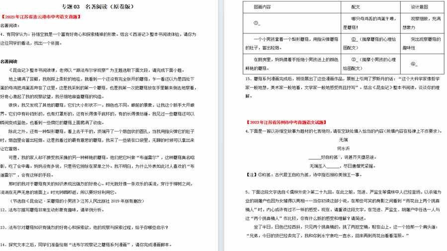 名著阅读-2025年中考语文备考（原卷版）（江苏专用）