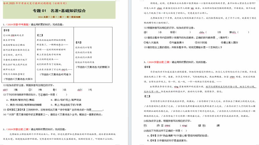 名著阅读+基础知识综合（45题）备战2025年中考语文复习最新试题精选（安徽专用）（原卷版）