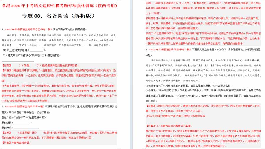 名著阅读（解析版）备战2024年中考语文适应性模考题专项强化训练（陕西专用）