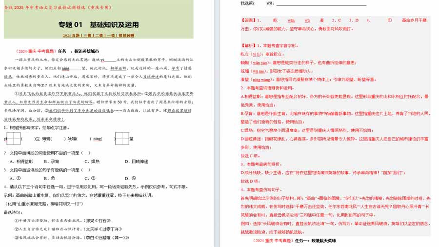 基础知识及运用-备战2025年中考语文复习最新试题精选（重庆专用）（解析版）