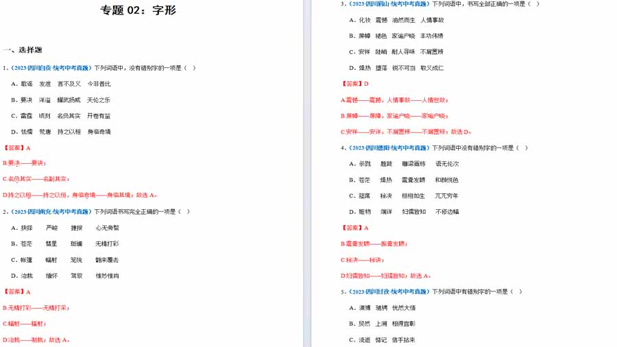 字形-2024年中考语文高频必刷100题真题精选汇编（解析版）