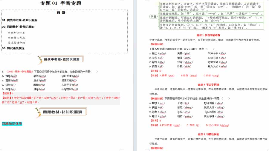 字音专题-2025年中考语文备考（查补知识·通关练）（解析版）