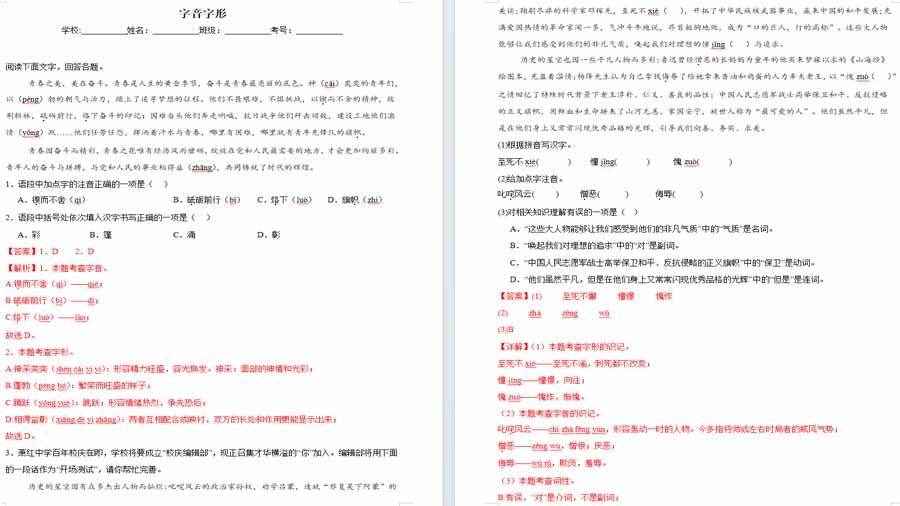 字音字形-2024年中考语文考前查缺补漏试题（哈尔滨专用）（解析版）