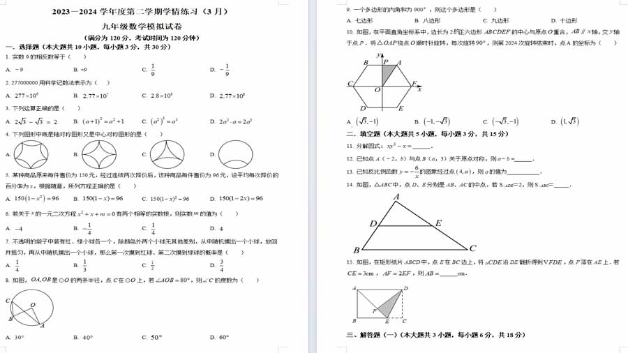 广东省茂名市滨海新区2023-2024学年九年级下学期月考数学试题（原卷版）