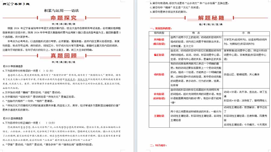 押辽宁卷第3题 积累与运用——语法-2025年中考语文备考（原卷版）
