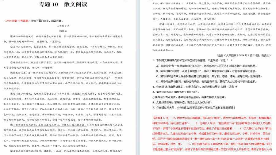 散文阅读-2024年中考语文真题分类汇编（全国通用）（解析版）