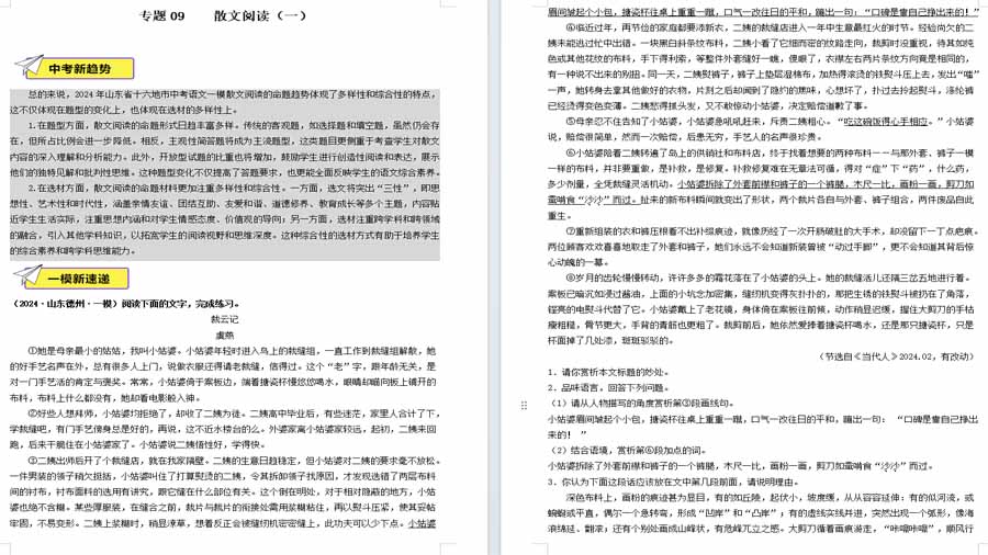 散文阅读-2025年中考语文备考试题（一）（原卷版）