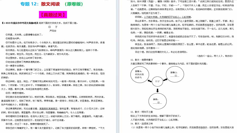 散文阅读（专项突破）备战2024年中考语文考点突破（重庆专用）（原卷版）