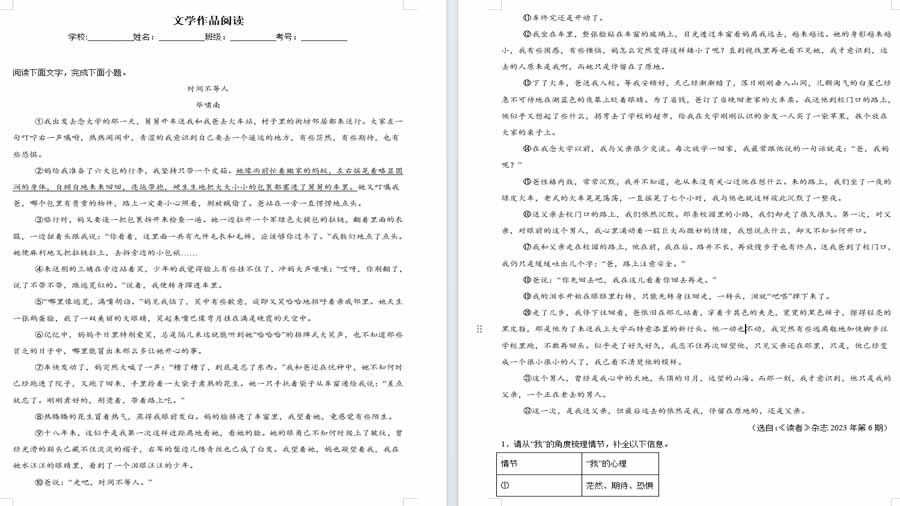 文学作品阅读-2024年中考语文考前查缺补漏试题（长沙专用）（解析版）