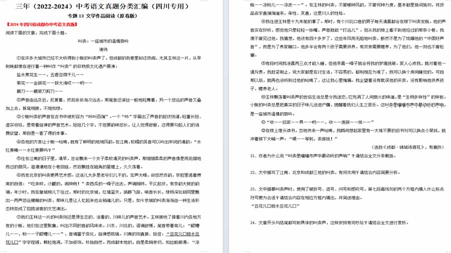 文学作品阅读-三年（2022-2024）真题汇编（原卷版）（四川专用）