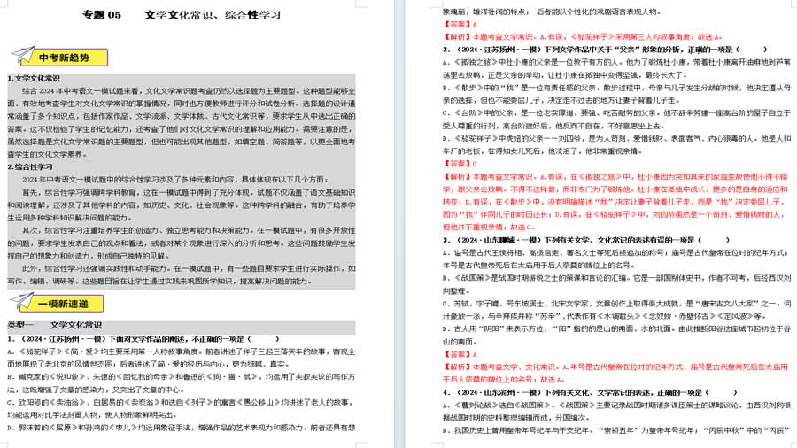 文学文化常识、综合性学习-2025年中考语文备考试题（解析版）