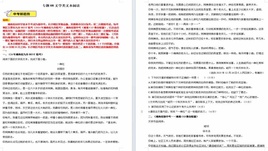 文学类文本阅读-2024年中考语文二模试题分类汇编（湖南专用）（原卷版）