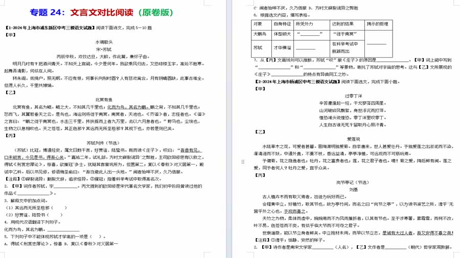 文言文对比阅读-2024年中考语文三模试题分类汇编（全国通用）（原卷版）