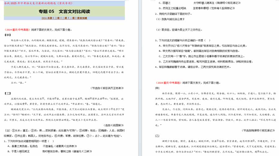文言文对比阅读（20组80题）备战2025年中考语文复习最新试题精选（重庆专用）（原卷版）
