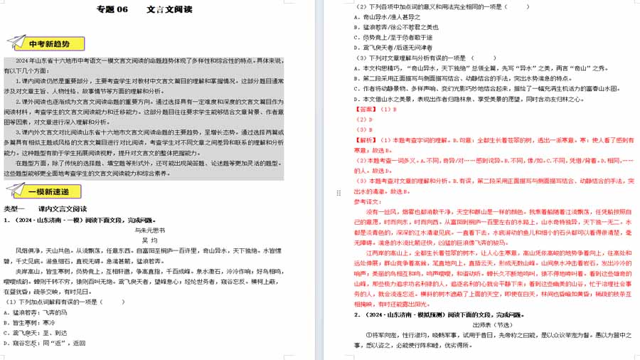 文言文阅读-2025年中考语文备考试题（解析版）