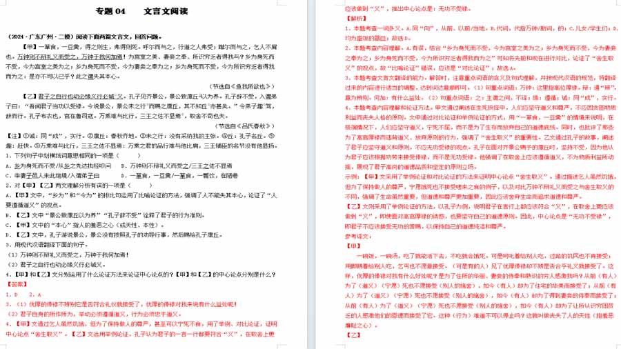 文言文阅读-2025年中考语文备考（解析版）