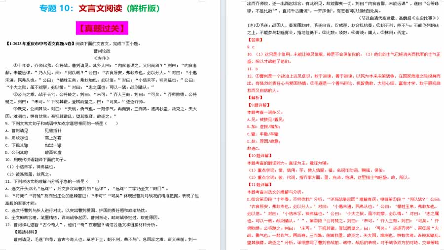 文言文阅读（专项突破）备战2024年中考语文考点突破（重庆专用）（解析版）