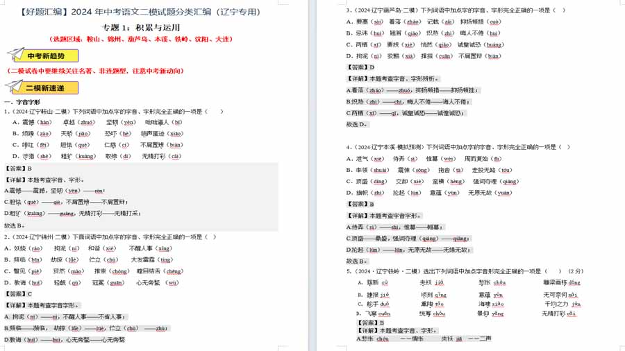 积累与运用-2025年中考语文备考（解析版）