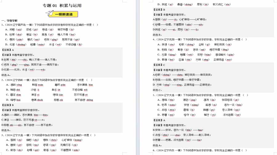 积累与运用 2025年中考语文备考（解析版）