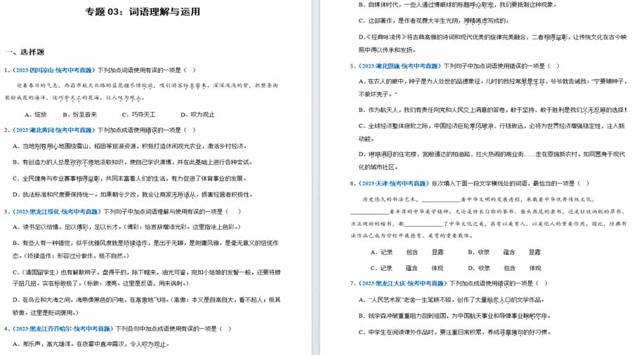 词语理解与运用-2024年中考语文高频必刷100题真题精选汇编（原卷版）