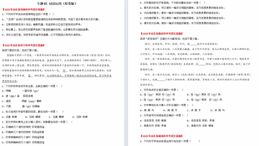 词语运用-2025年中考语文备考（原卷版）