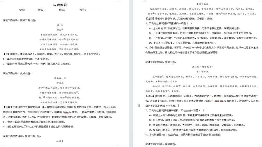 诗歌鉴赏-2024年中考语文考前查缺补漏试题（长沙专用）（原卷版）